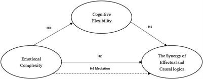 Synergy of Effectuation and Causation: An Emotional Complexity Perspective